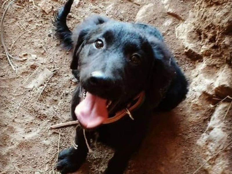 Marley