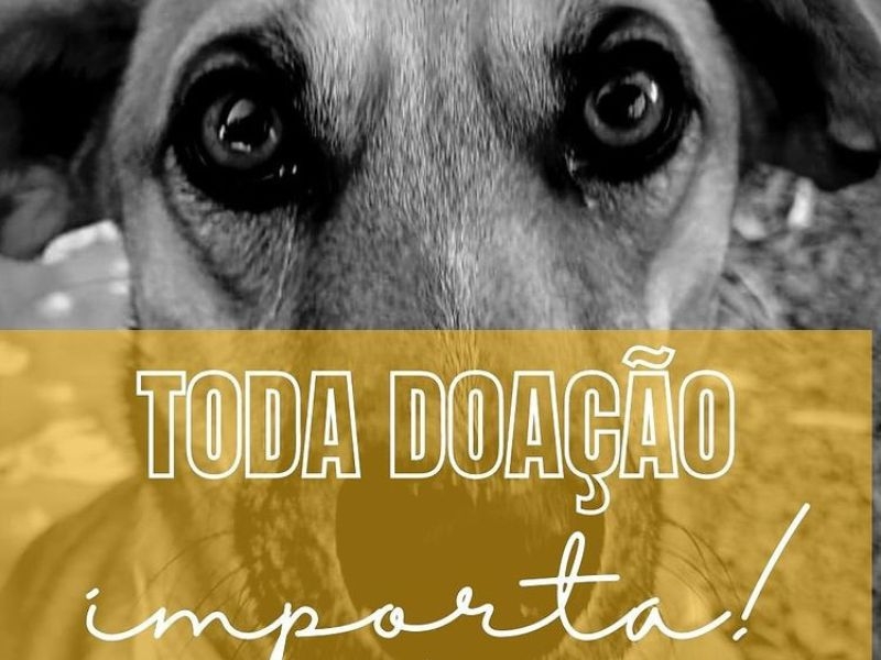 Faça uma Doação